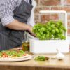 click-en-grow-smartgarden-kruidenpot