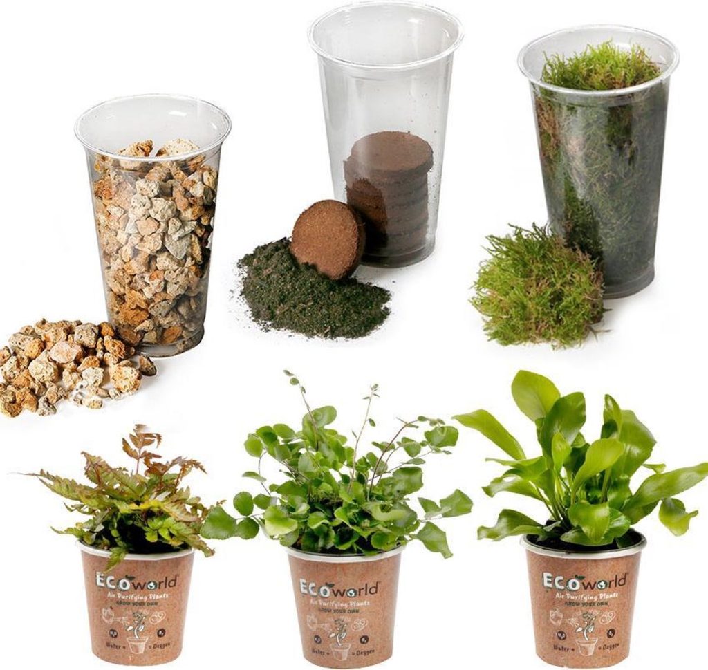 diy jungle mini ecosysteem