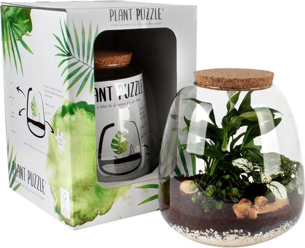 mini ecosysteem plant puzzle