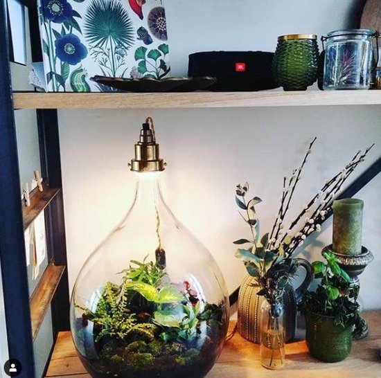 diy ferrarium mini ecosysteem