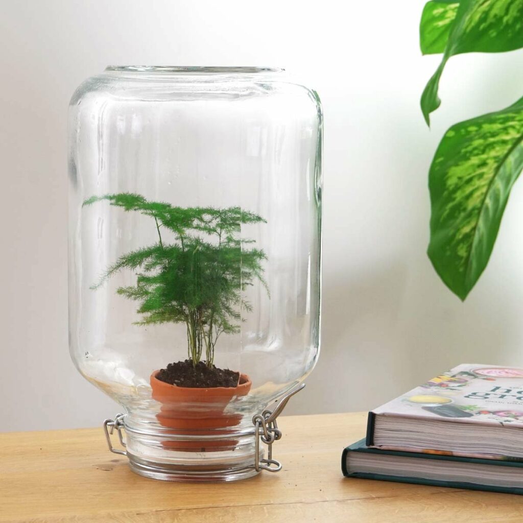 mini ecosysteem in bokaal