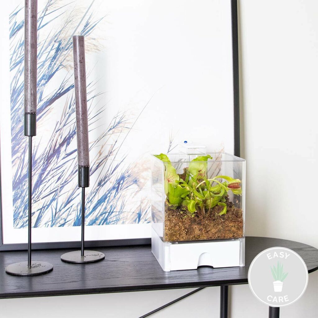 mini ecosysteem kubus